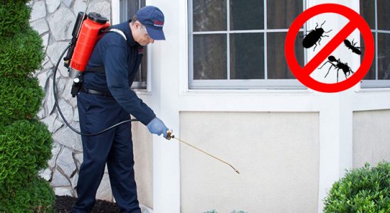 Çamardı Tahtakurusu İlaçlama böcek ilaçlama ve haşere kontrolü — ilaclama-tr.com